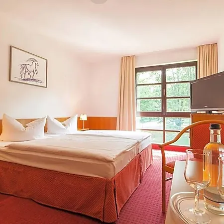Hotel Kim Im Park Dresde