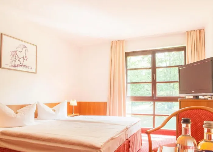 فندق Kim Im Park