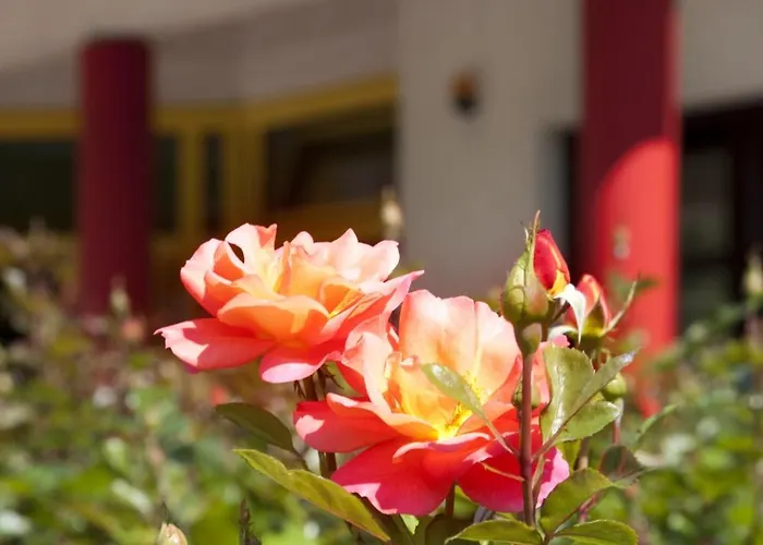 ホテル キム イム パーク