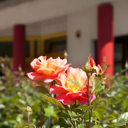 מלון Kim Im Park