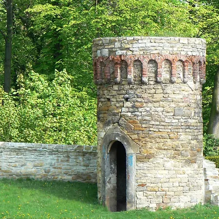 Kim Im Park דרזדן